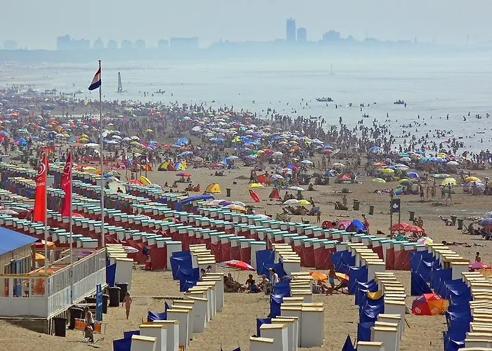 Vakantiehuis Katwijk Andreasplein Katwijk aan Zee